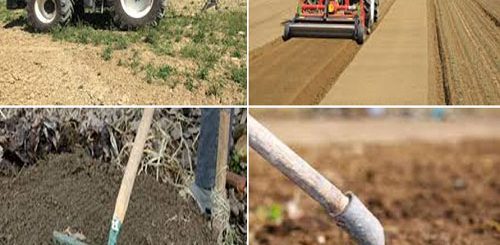 scopi e preparazione del terreno alla semina