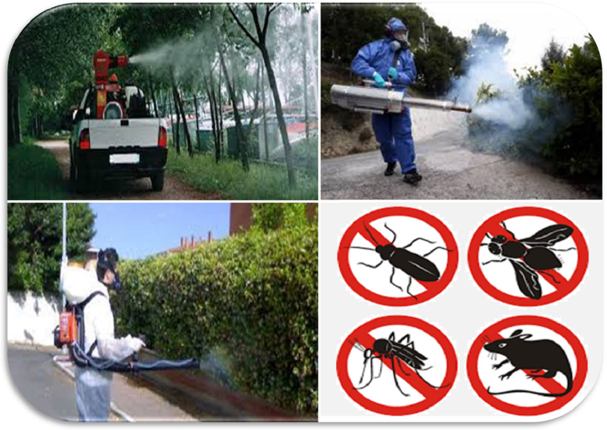 cosa è la disinfestazione