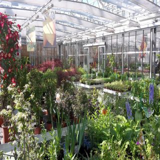 come lavorare in un vivaio