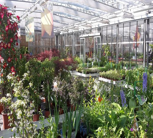 come lavorare in un vivaio