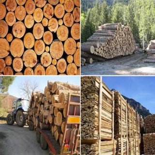 la vendita dei prodotti dell'arboreto