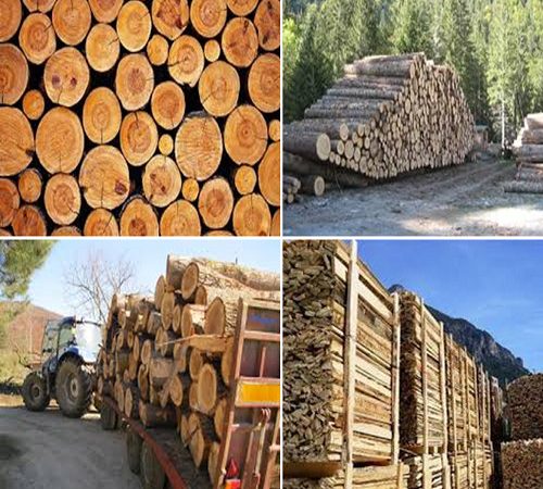 la vendita dei prodotti dell'arboreto