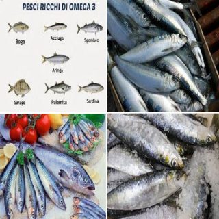 gli omega-3 nel pesce