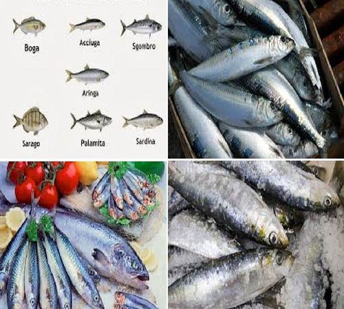 gli omega-3 nel pesce