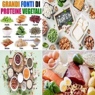 le fonti delle proteine