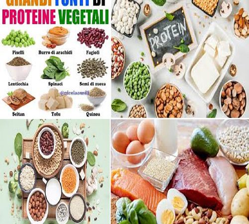 le fonti delle proteine