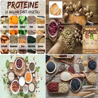le proteine vegetali